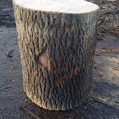 Log Chopping Block