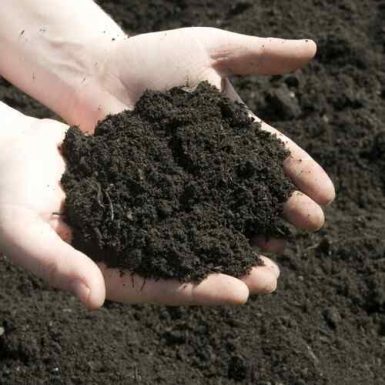 Super Soil - Mulch Topsoil Blend