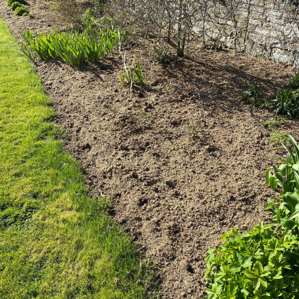 Soil Improving Compost Mulch Blend - Image 4