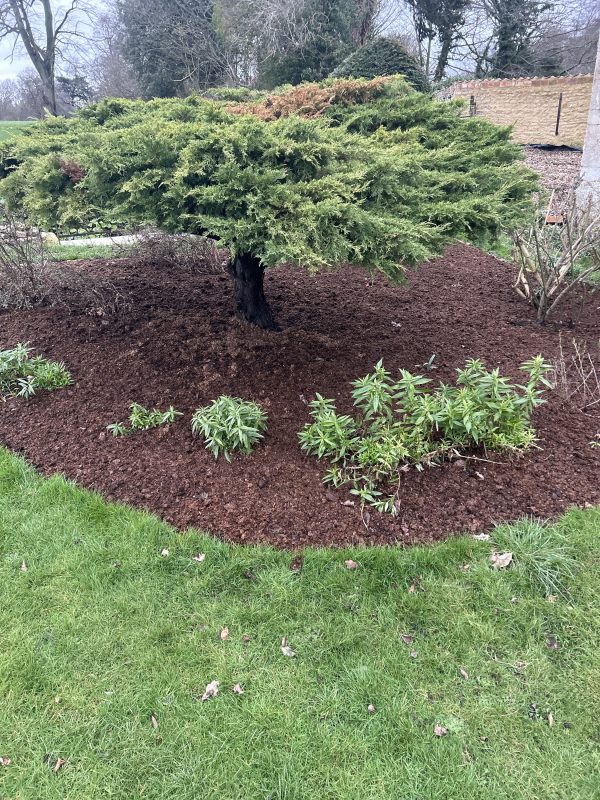 Soil Improving Compost Mulch Blend - Image 3